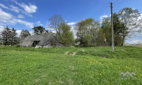 Une vieille ferme près de Kryžkalnis