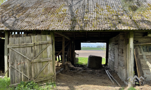 Altes Gehöft in der Nähe von Kryžkalnis