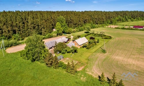 Homestead With 13 Hectares of Land