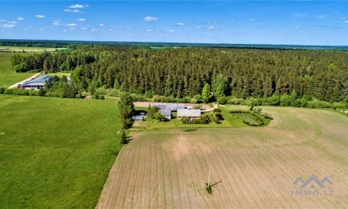 Homestead With 13 Hectares of Land