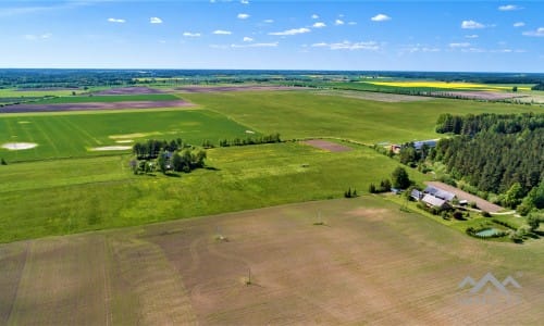 Homestead With 13 Hectares of Land