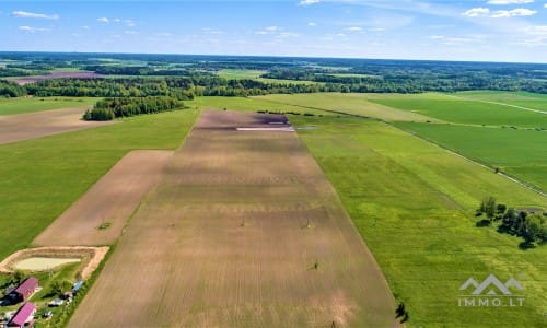 Homestead With 13 Hectares of Land