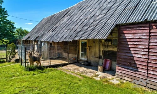 Homestead With 13 Hectares of Land