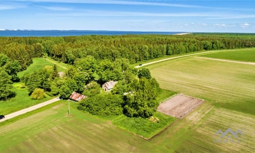 Homestead in the Regional Park