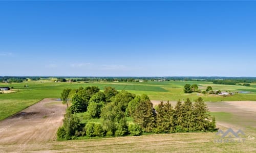 Une vieille ferme près de Kryžkalnis