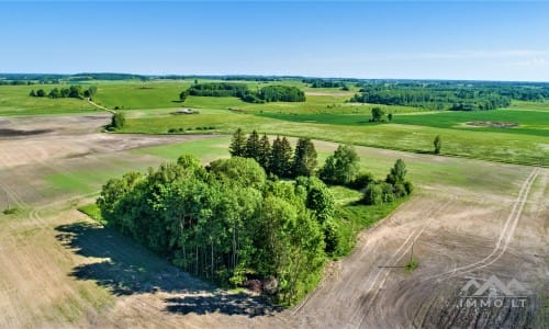 Une vieille ferme près de Kryžkalnis