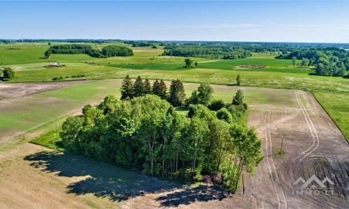 Une vieille ferme près de Kryžkalnis