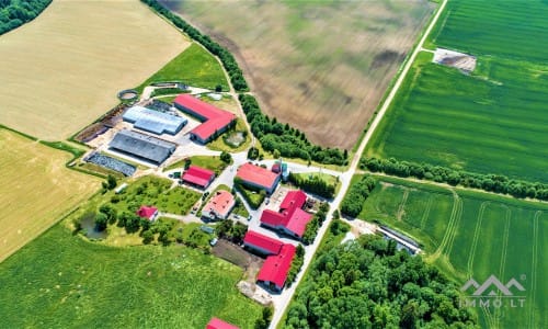 Dairy Farm in Samogitia