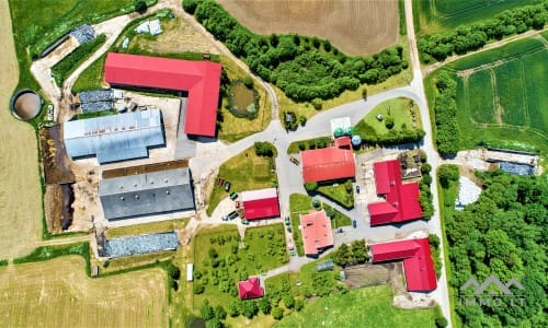 Dairy Farm in Žemaitija Region