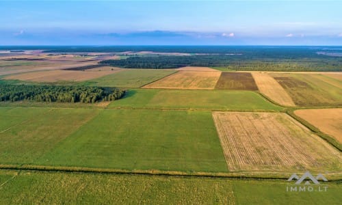 Gehöft im Bezirk Telšiai