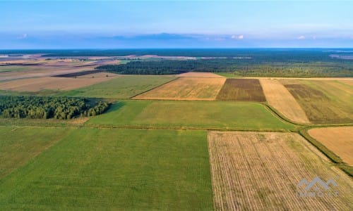 Gehöft im Bezirk Telšiai