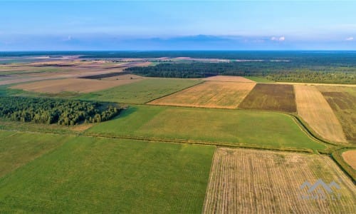 Homestead in Telšiai District