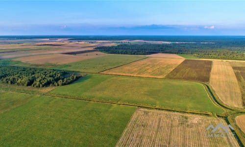 Gehöft im Bezirk Telšiai