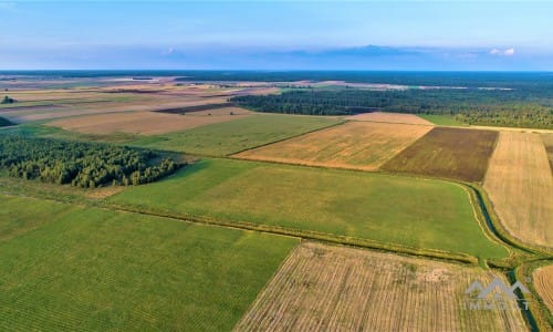 Gehöft im Bezirk Telšiai