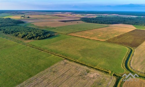 Ferme dans le district de Telšiai