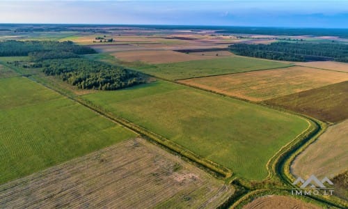 Gehöft im Bezirk Telšiai