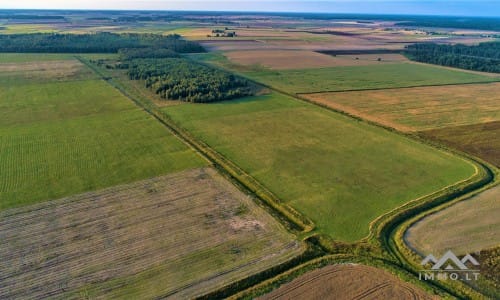 Ferme dans le district de Telšiai