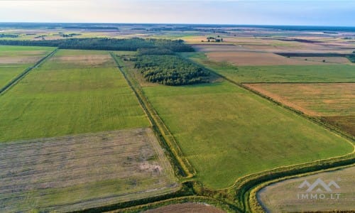 Gehöft im Bezirk Telšiai