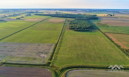 Gehöft im Bezirk Telšiai