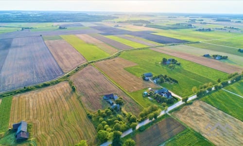 Homestead in Telšiai District