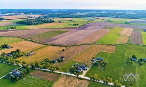 Homestead in Telšiai District