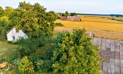 Gehöft im Bezirk Telšiai