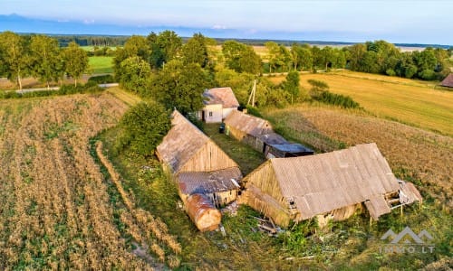 Ferme dans le district de Telšiai