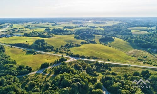 Žemės sklypai su mišku