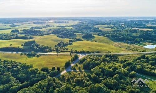 Terrains avec forêt