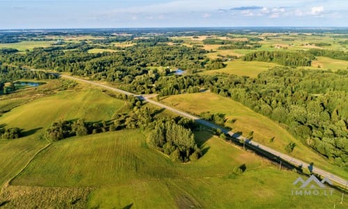 Terrains avec forêt