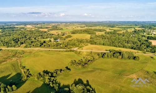 Žemės sklypai su mišku