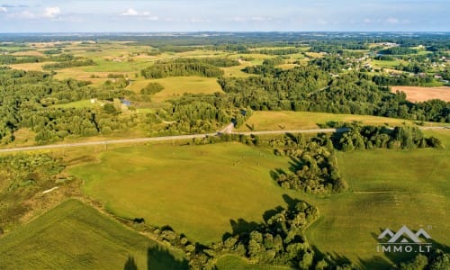 Žemės sklypai su mišku