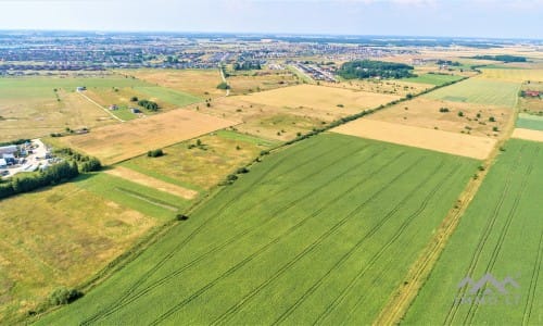 Investment Plot Near Klaipėda