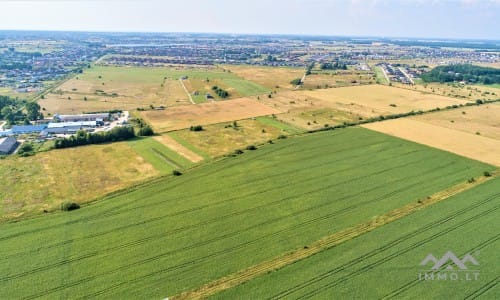 Investment Plot Near Klaipėda