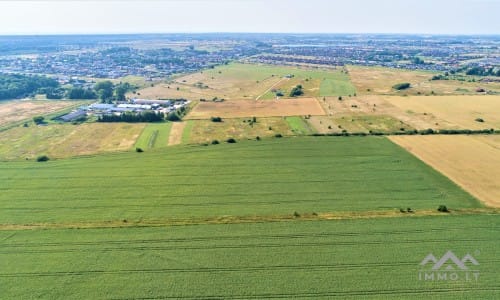 Investment Plot Near Klaipėda