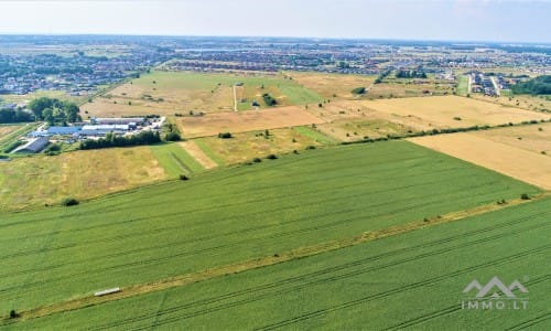 Investment Plot Near Klaipėda