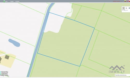 Land Plot With Forest