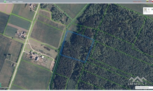 Land Plot With Forest