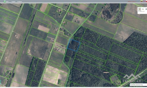 Land Plot With Forest