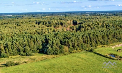 Terrain avec forêt