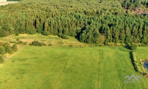 Terrain avec forêt