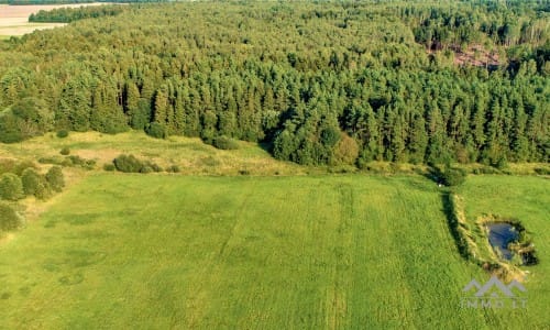 Terrain avec forêt