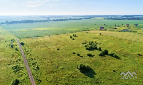 Namų valdos sklypas Dargužiuose