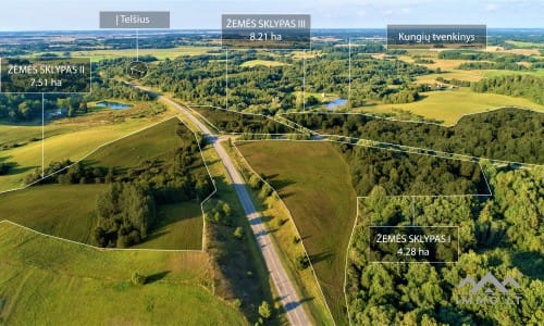 Land Plots With Forest