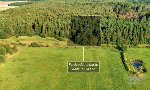 Grundstück mit Wald
