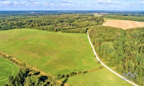 Grundstück im Bezirk Redau