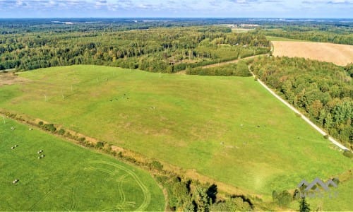 Grundstück im Bezirk Redau