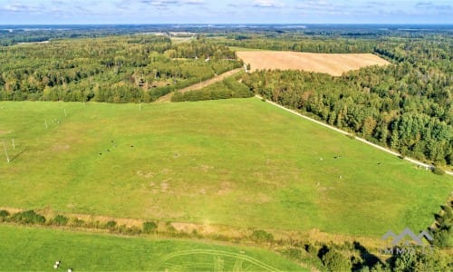 Plot in Rietavas Municipality