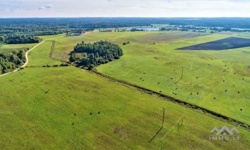 Plot in Rietavas Municipality