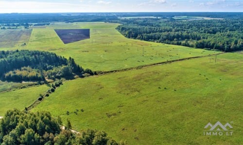 Plot in Rietavas Municipality